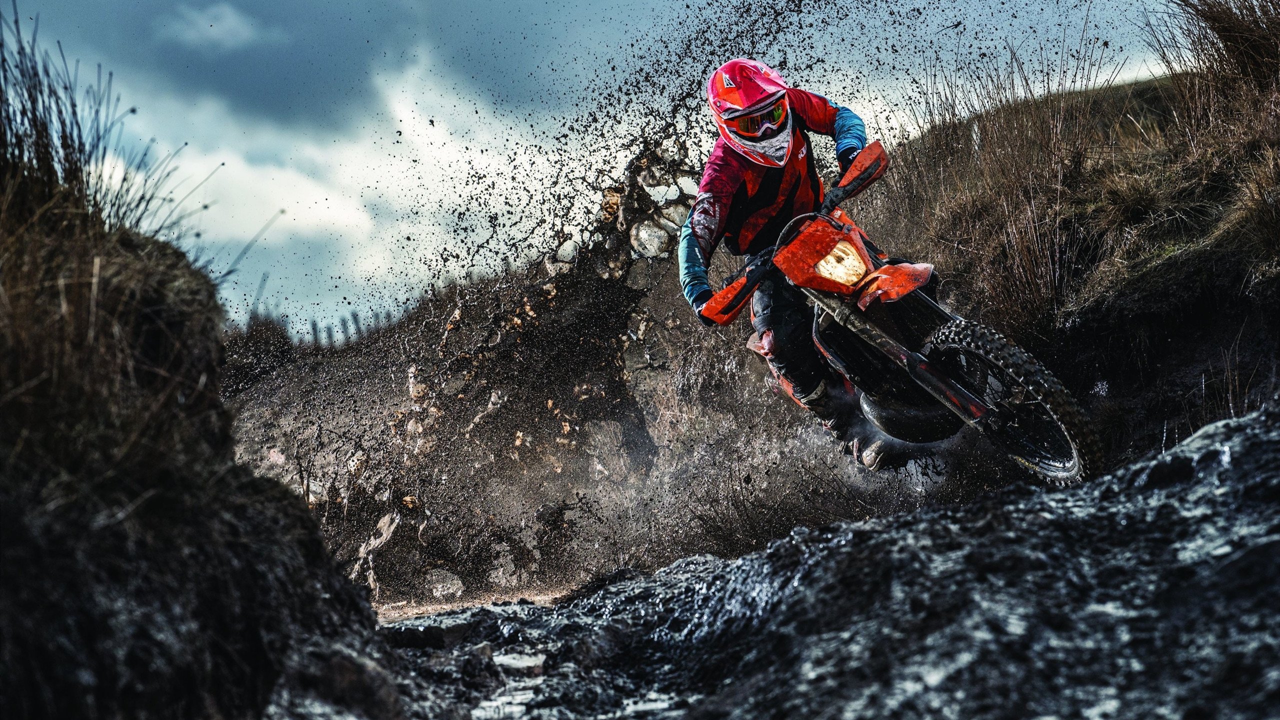 里程碑时刻：F1历史上的特殊年份，f1历史车型